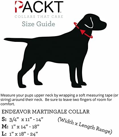 Packt - Endeavor Collar Martingale אטום למים לכלבים - אטום למים, ללא סירחון, מיוצר בארהב | חצות - צווארון כלבים